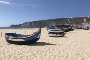 Anabela Bento Carreira