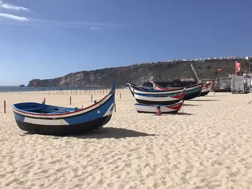 Anabela Bento Carreira