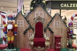 B& &ndash; Guarda Vivaci