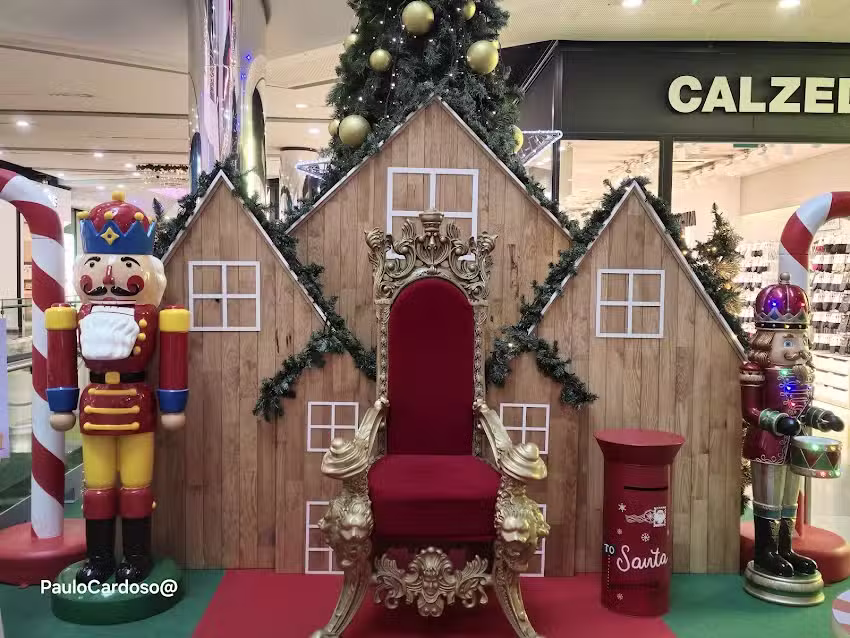 B& &ndash; Guarda Vivaci