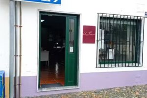 Beauty by Sandra Ferro