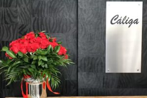 C&aacute;liga Fashion Store | Torres Vedras