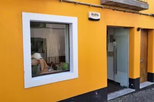 D&rsquo;campos &ndash; Concept Store