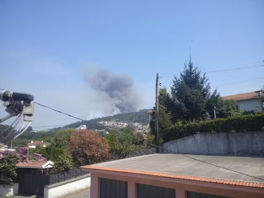 Fluente & Livre, Unipessoal Lda