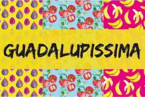 Guadalup&iacute;ssima Lda.