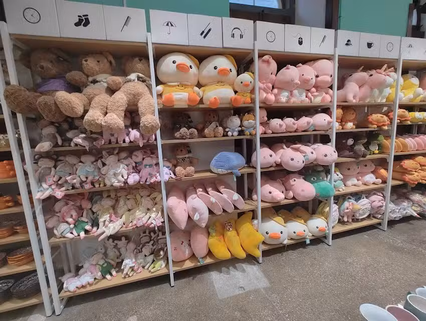 i Orangol &ndash; Loja Benfica