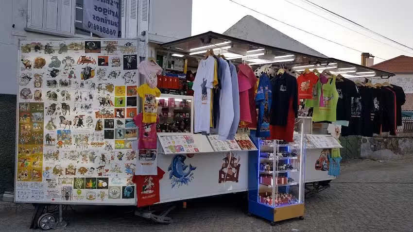 Joel Gon&ccedil;alves PintoAficiontaurina