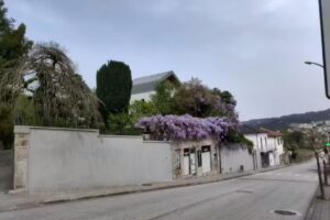 Loja do Zé, Acessórios de Moda