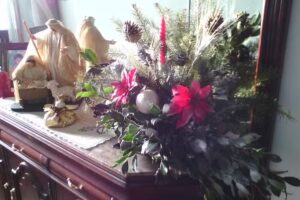 Luís Nunes & Silva Ferreira Lda