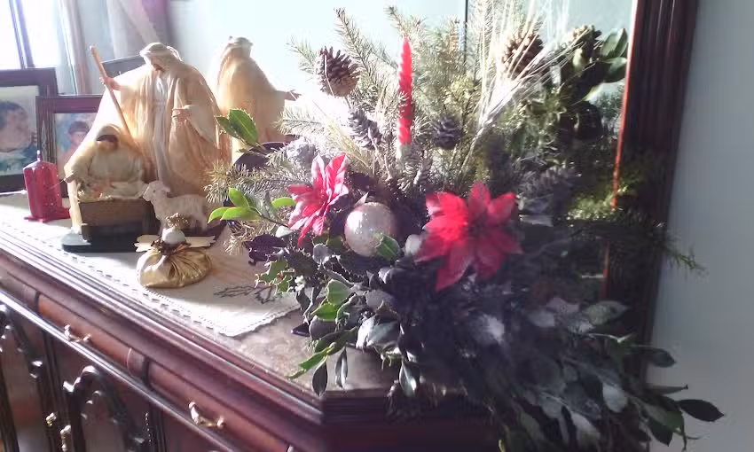 Luís Nunes & Silva Ferreira Lda