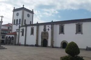 Maria B Afonso Prada