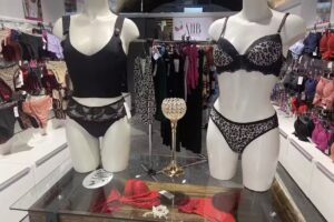 Moda Íntima Brasil (MIB)