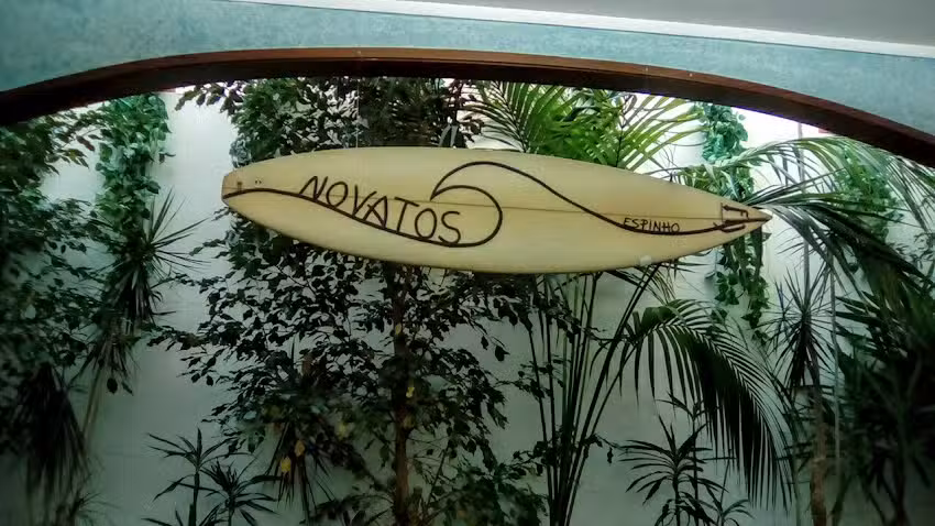 Novatos