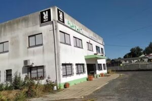 Pubeivil – Roly Portugal