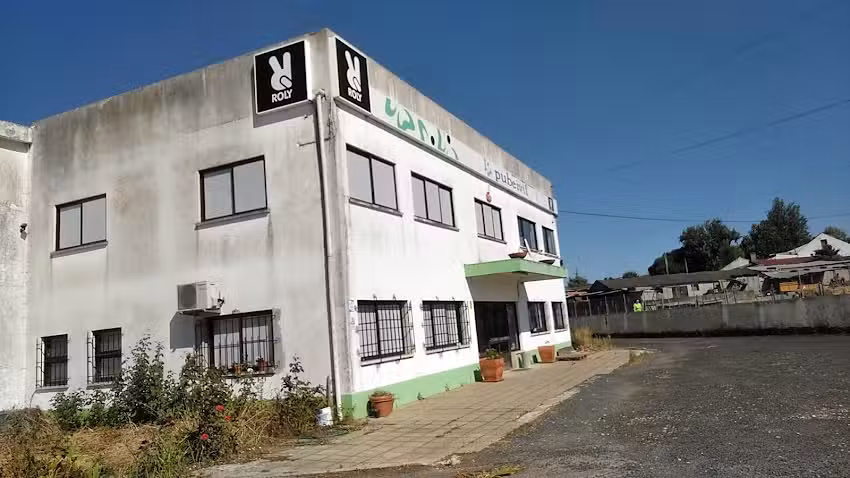 Pubeivil &ndash; Roly Portugal