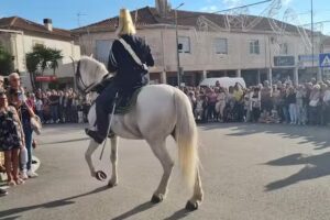 Tendencias & Caprichos