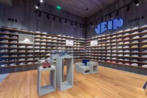 Vein Caldas da Rainha