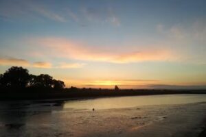 Ydentik &ndash; Perfume Bar Concept