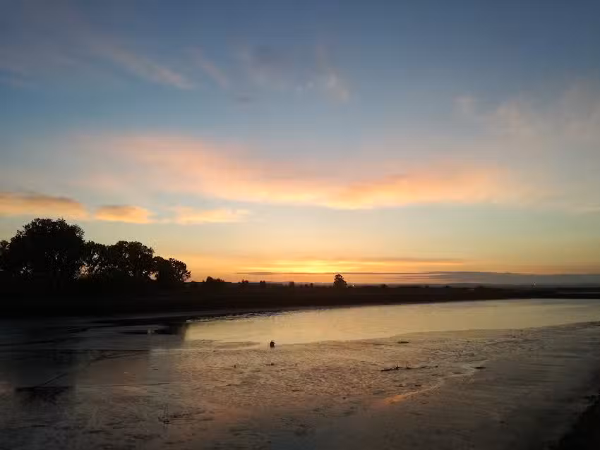 Ydentik – Perfume Bar Concept